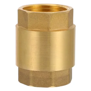 Brass Check Valve 2