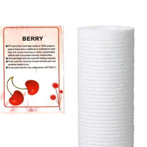 Core Berry