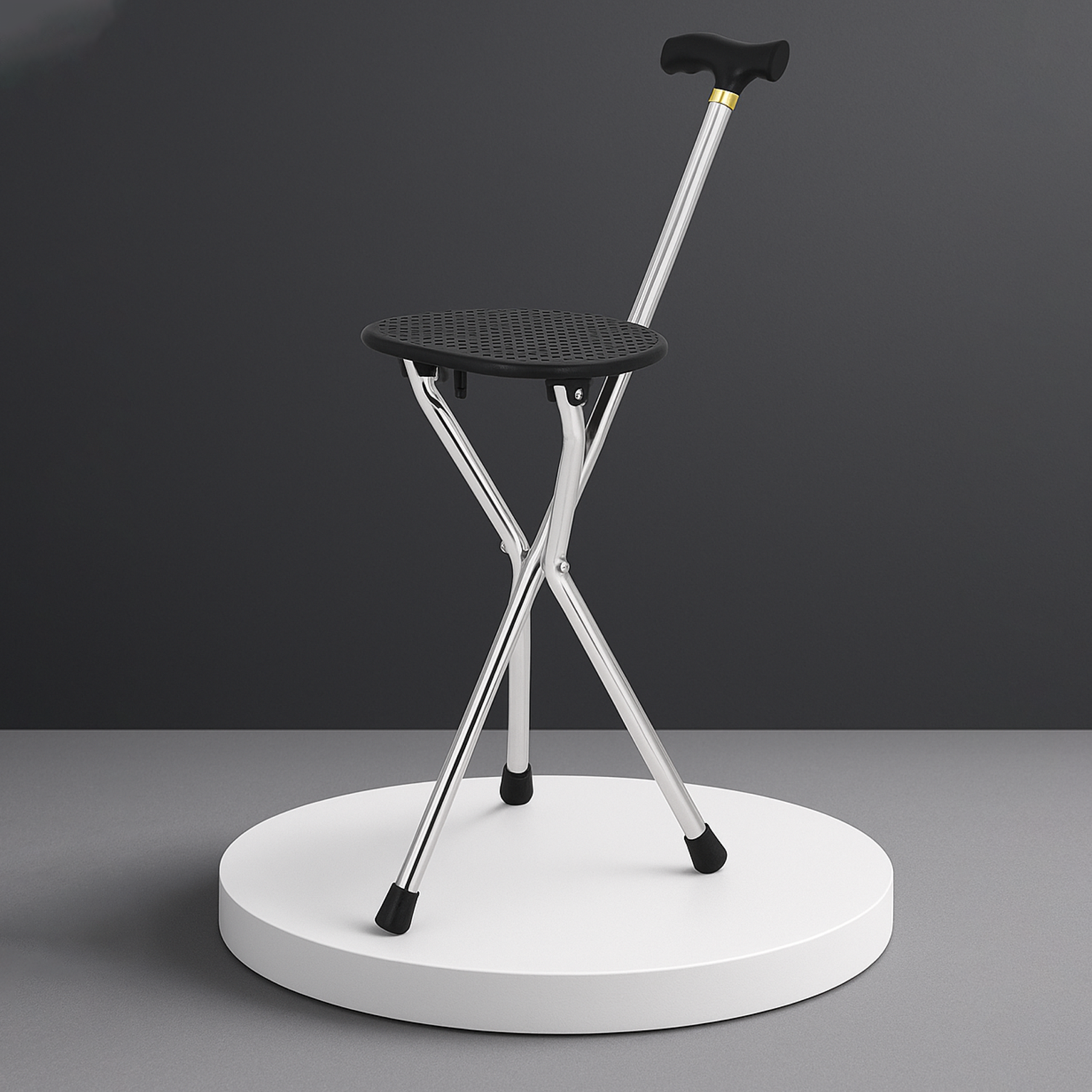 Folding Walking Stick/Seat Black