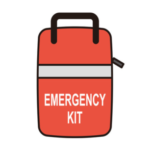emergency needs