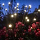 10_lights_solar_led_1_.jpg