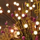 10_lights_solar_led_5_.jpg