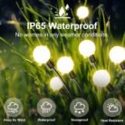 solar_led_10_lights_solar_led_10_lights_4.jpg