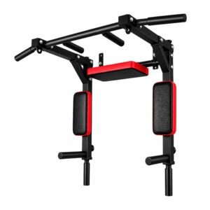 Wall Mounted Pull up and Dip Station Bar