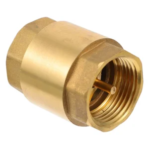 Brass Check Valve 2"